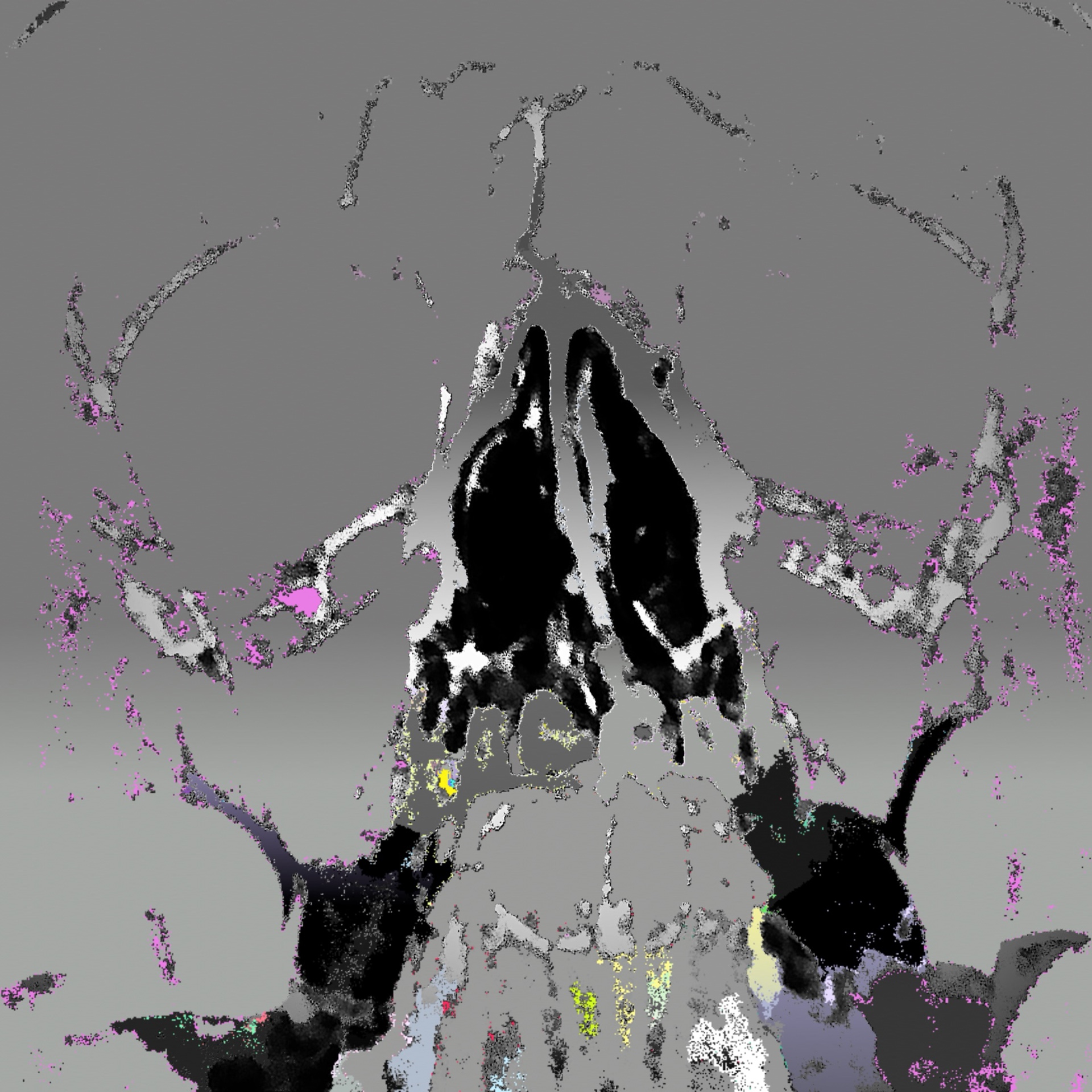 Ivan Shevtsov (ivshe.lens) Lens social identity (.lens handle) PFP