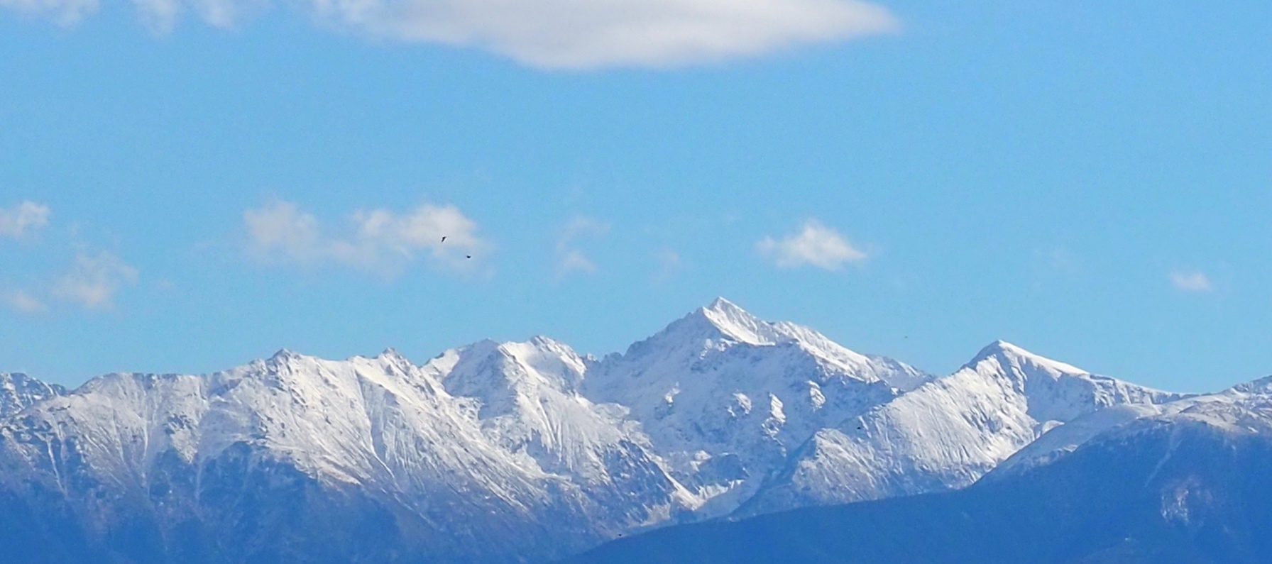 Liviu (liviu.lens) Lens social identity (.lens handle) PFP