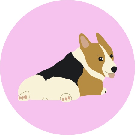 Bombastisch (bombastisch.lens) Lens social identity (.lens handle) PFP