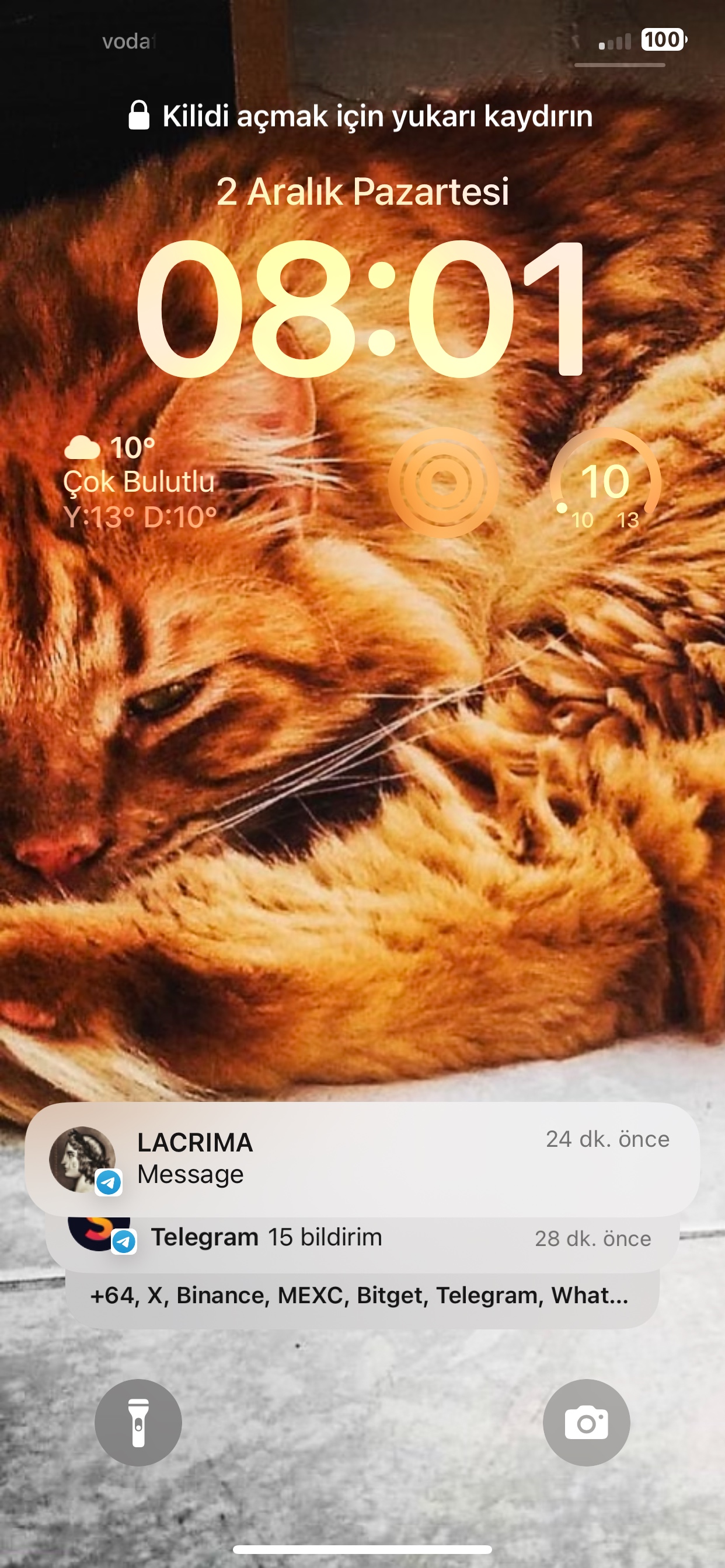 kermithefr0g (kermithefr0g.lens) Lens social identity (.lens handle) PFP