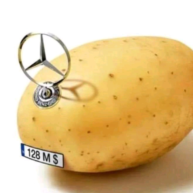 Aslann (cngzcrypto.lens) Lens social identity (.lens handle) PFP