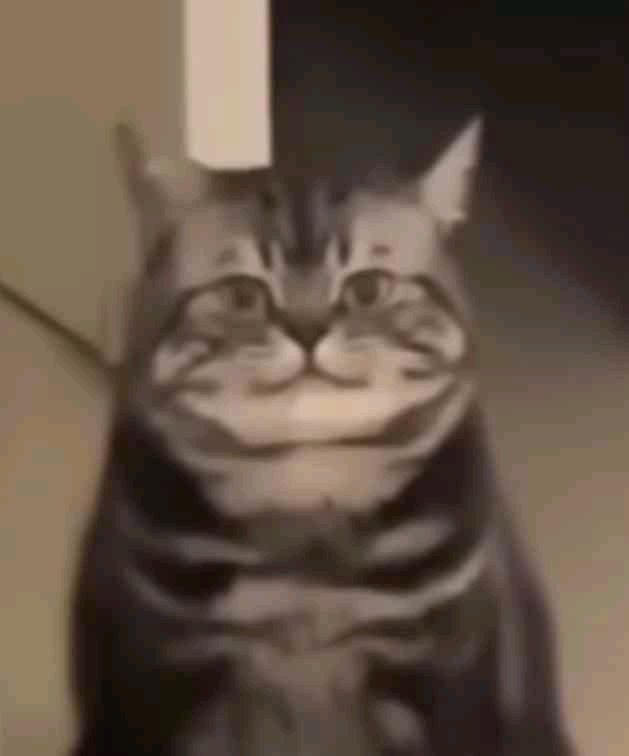 Sky4us (sky4us.lens) Lens social identity (.lens handle) PFP