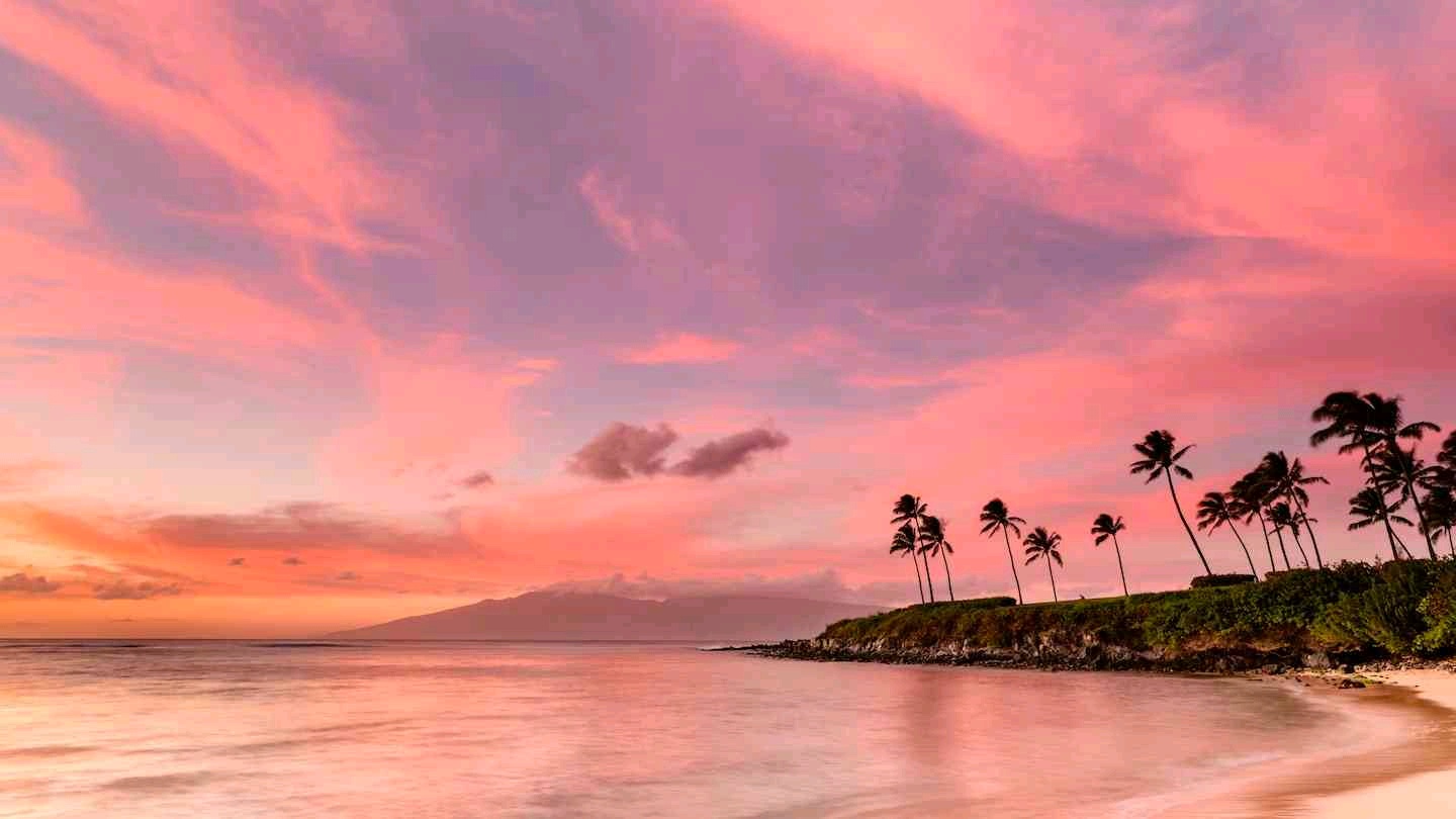 Aditi (aditisingh.lens) Lens social identity (.lens handle) PFP