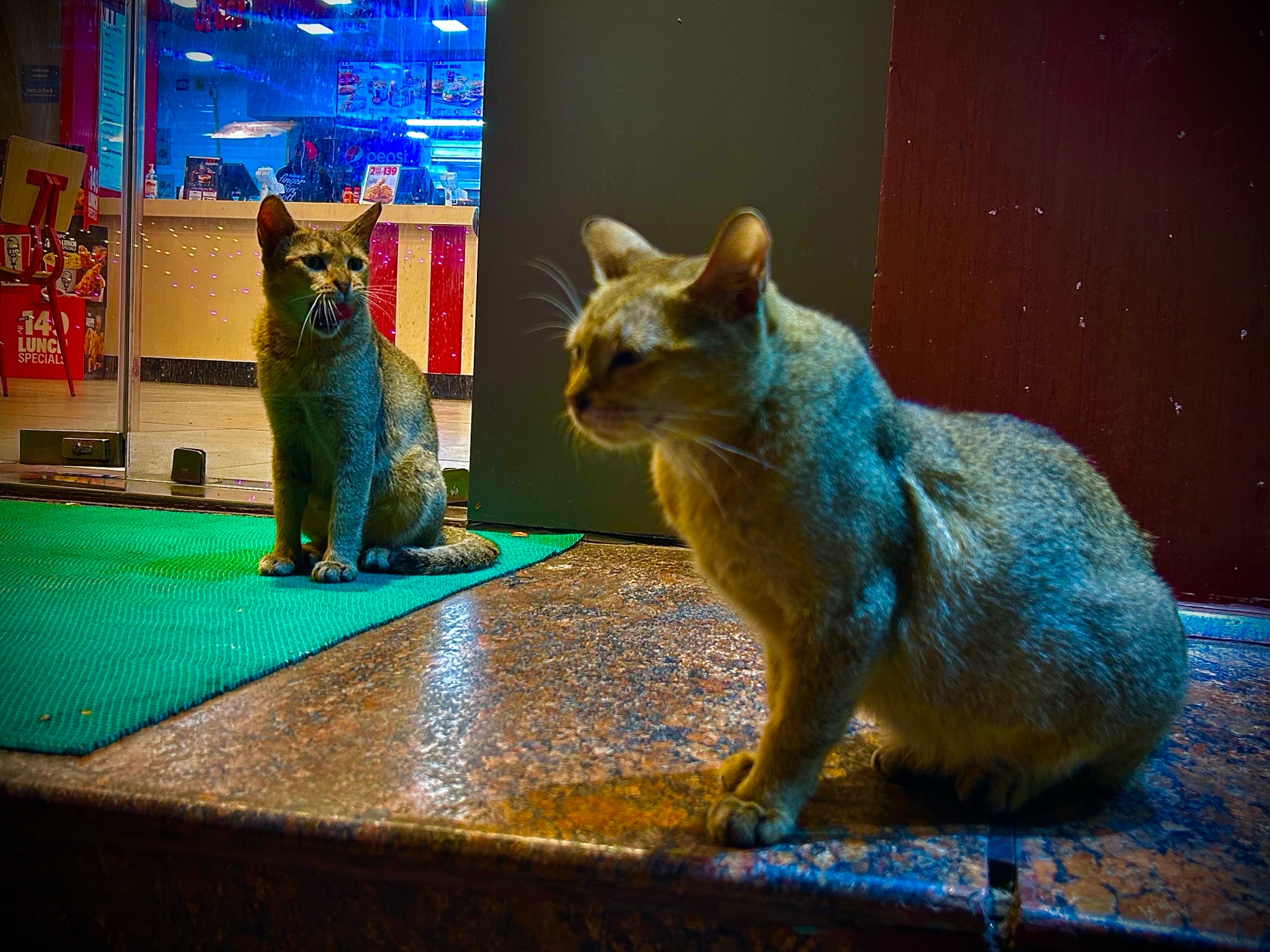 0xNiitu (0xbabu.lens) Lens social identity (.lens handle) PFP