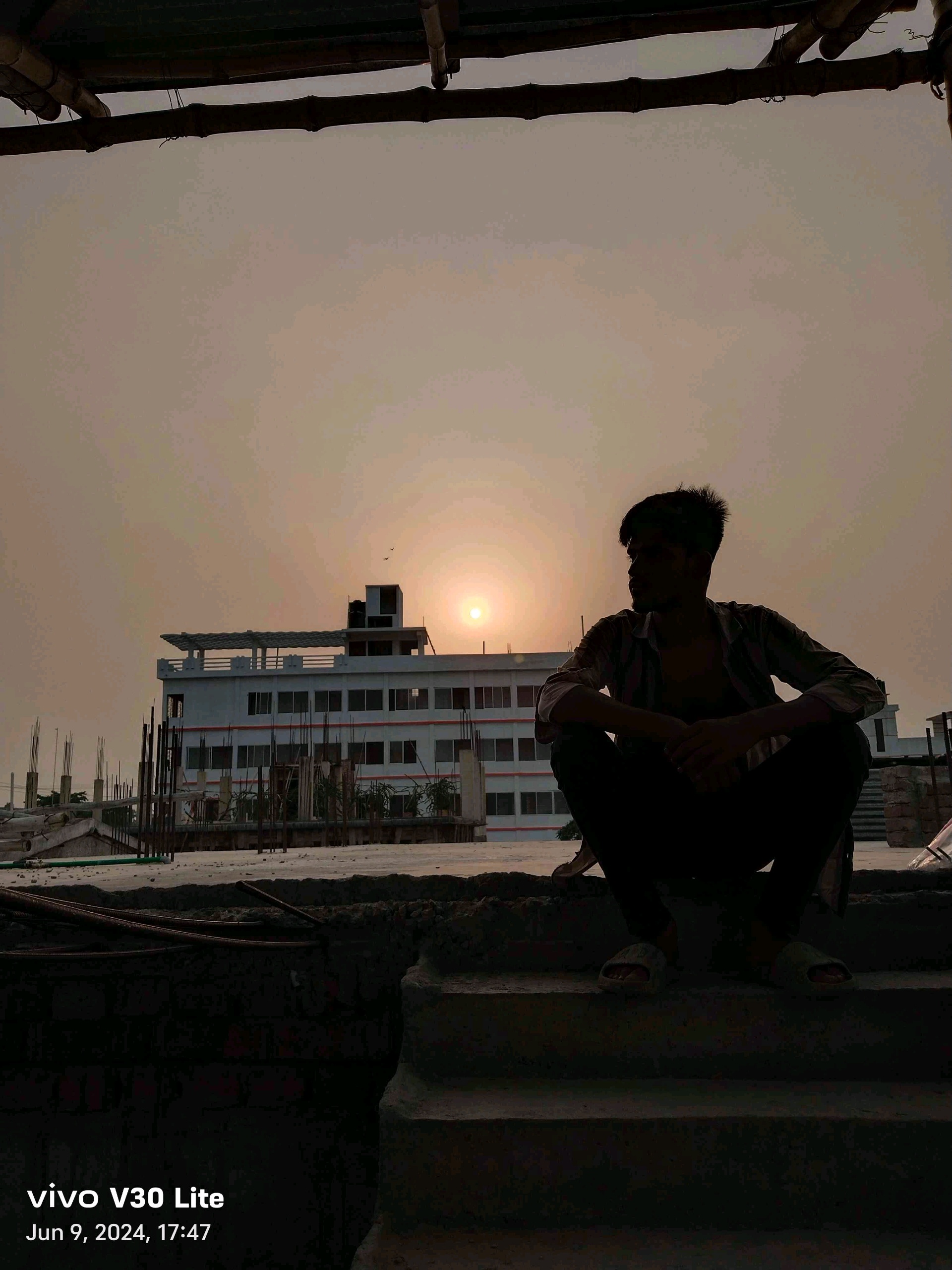 hasata rogo (oxhambersoe.lens) Lens social identity (.lens handle) PFP