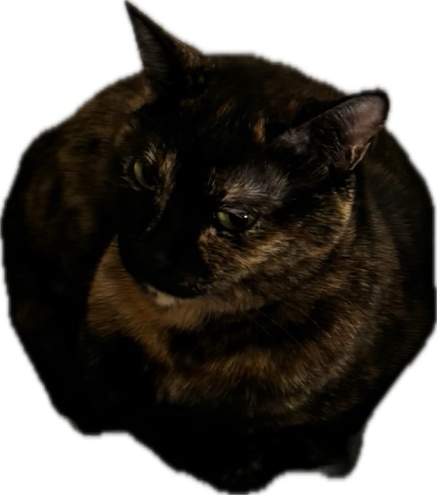 levelcapagent (levelcapagent.lens) Lens social identity (.lens handle) PFP