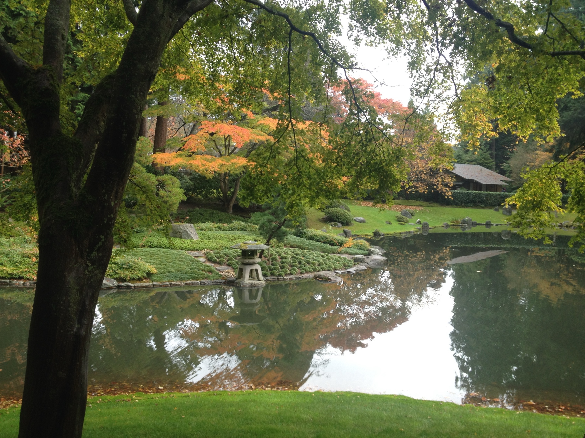 PJF (pfinn.lens) Lens social identity (.lens handle) PFP