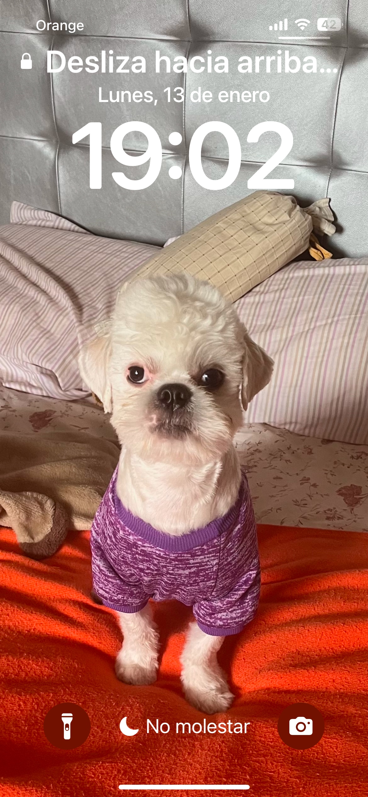 jackylafg (jackylafg.lens) Lens social identity (.lens handle) PFP