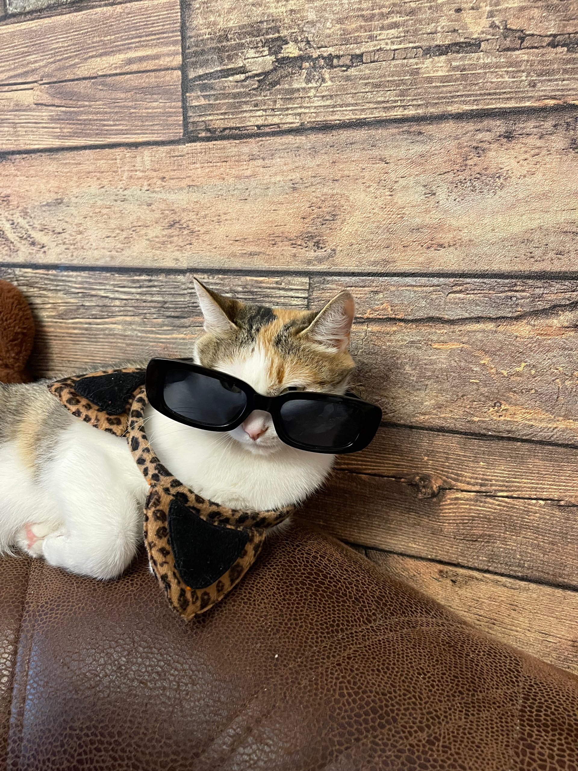 cybertony (sibertony.lens) Lens social identity (.lens handle) PFP