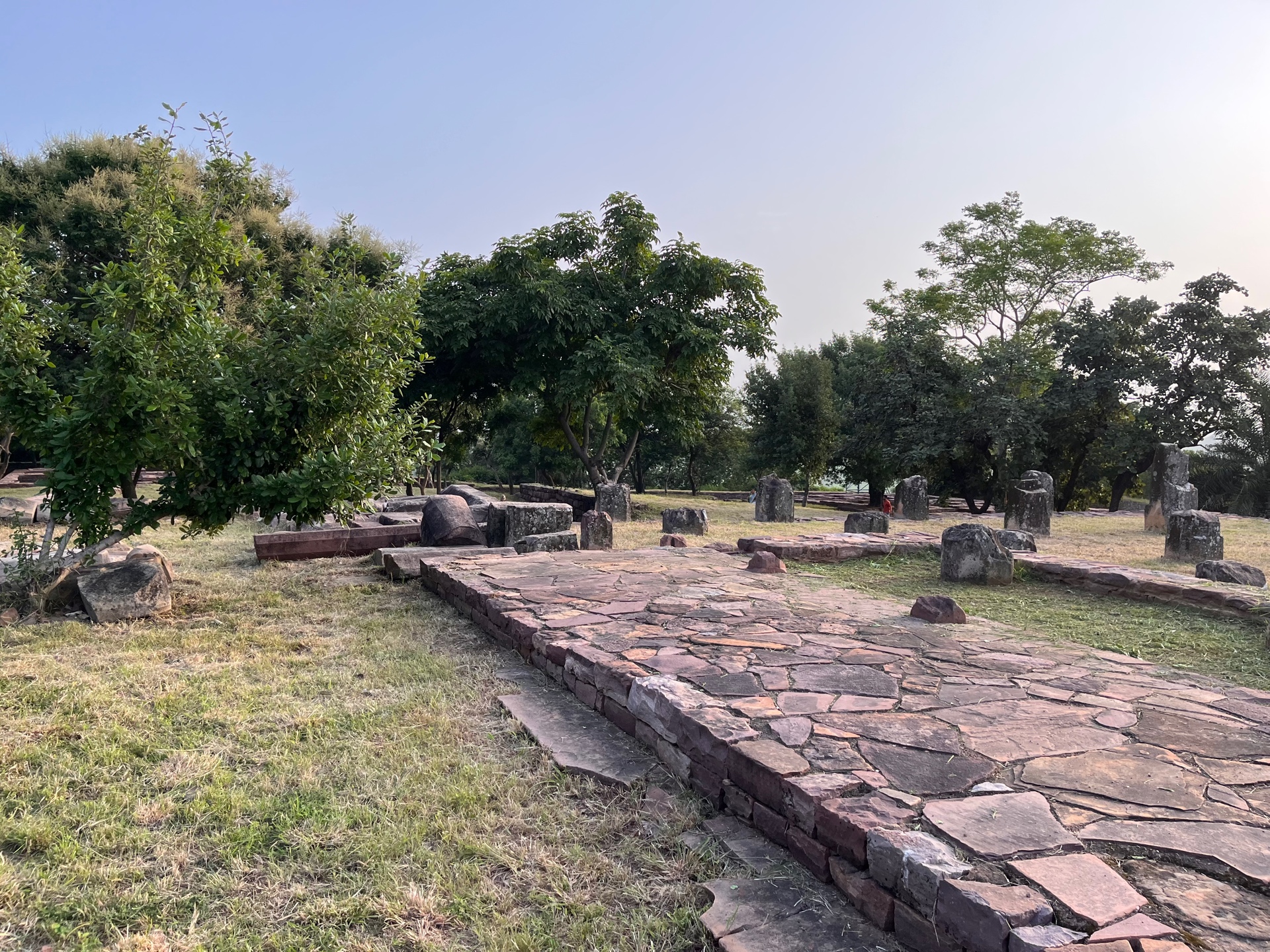 Roy5556 (royyoo.lens) Lens social identity (.lens handle) PFP