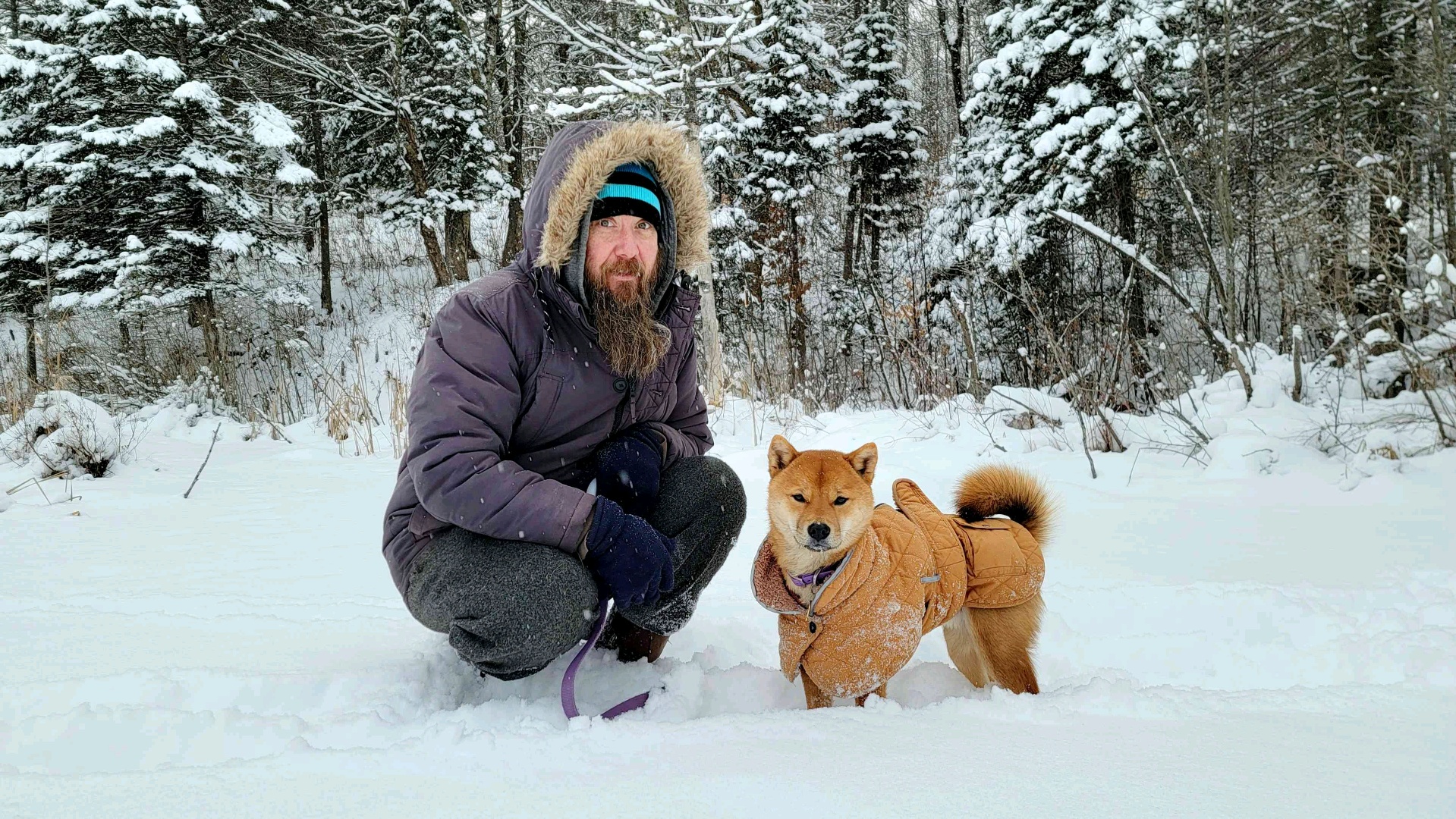 StainMucas (shanelucas.lens) Lens social identity (.lens handle) PFP