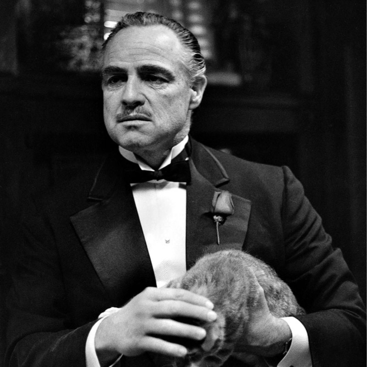 Nicolás (lechu.lens) Lens social identity (.lens handle) PFP