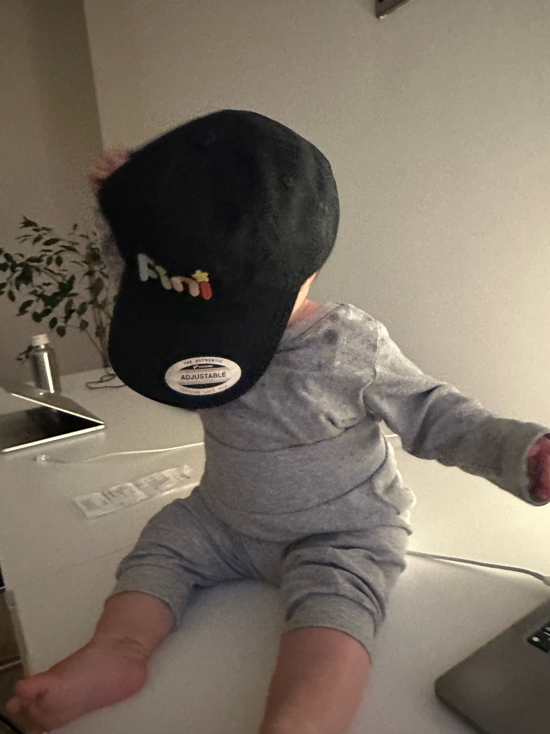 Peter Holsgrove (pholsgrove.lens) Lens social identity (.lens handle) PFP