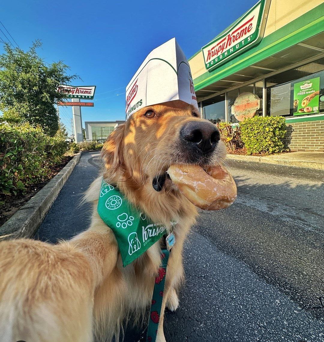 zenkee (zenkee.lens) Lens social identity (.lens handle) PFP