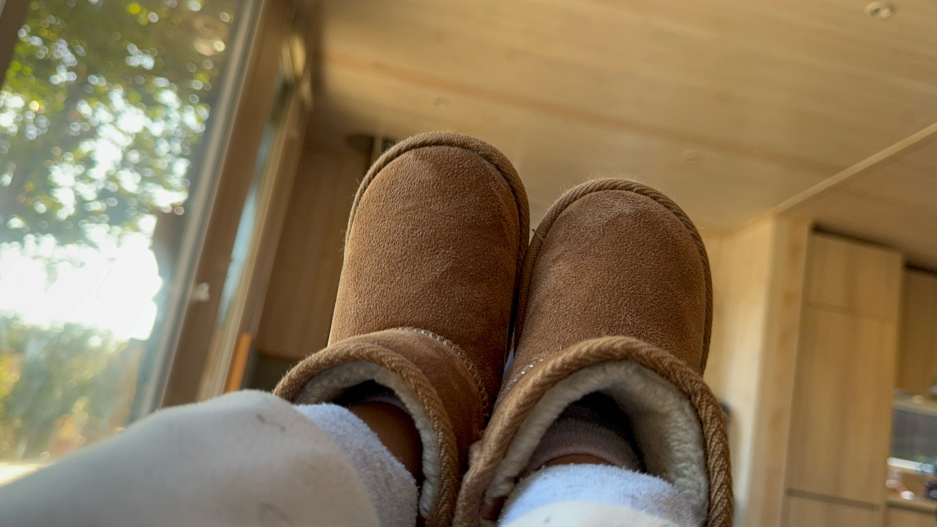 Tulafuera (tulafuera.lens) Lens social identity (.lens handle) PFP