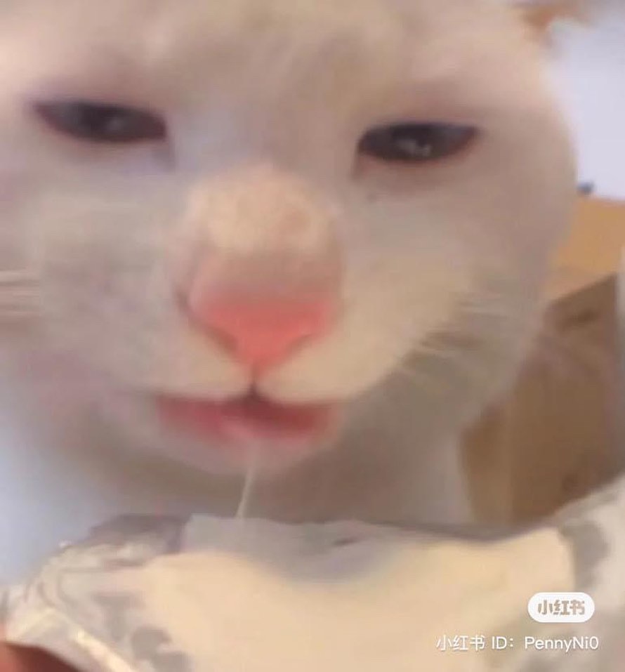 Wakam (dulcietu.lens) Lens social identity (.lens handle) PFP