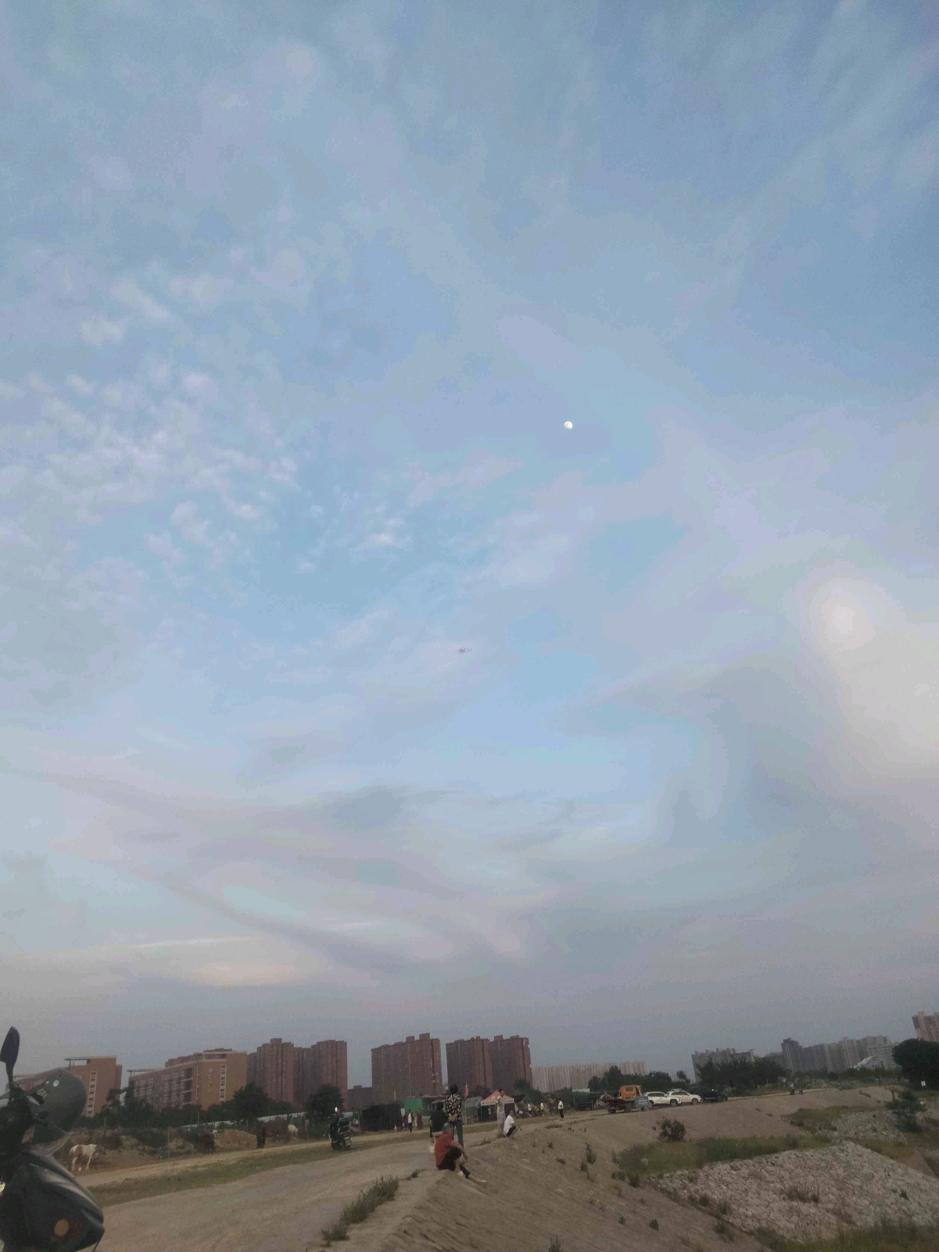 kingdom (kingdom888.lens) Lens social identity (.lens handle) PFP