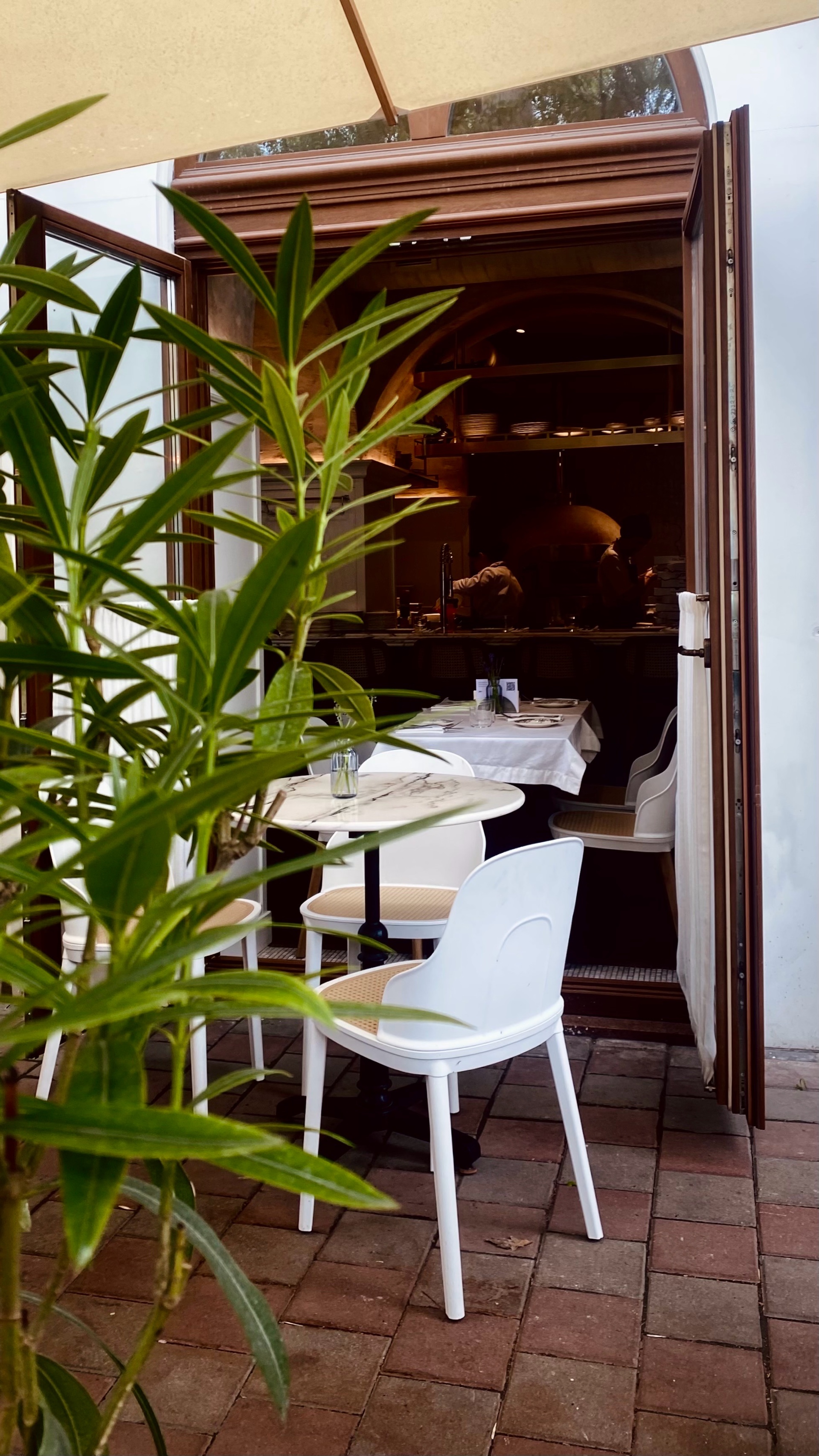 Ayrat (hasbey.lens) Lens social identity (.lens handle) PFP