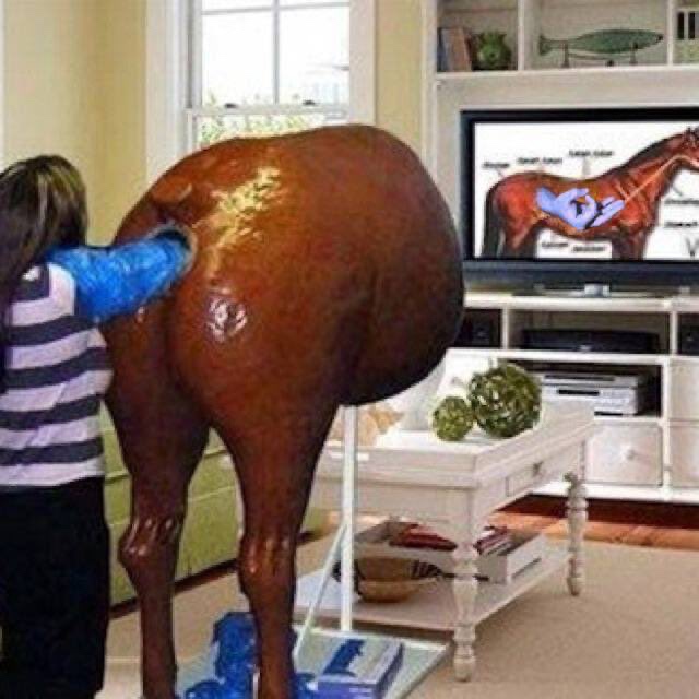 rampiro (rampir0x.lens) Lens social identity (.lens handle) PFP