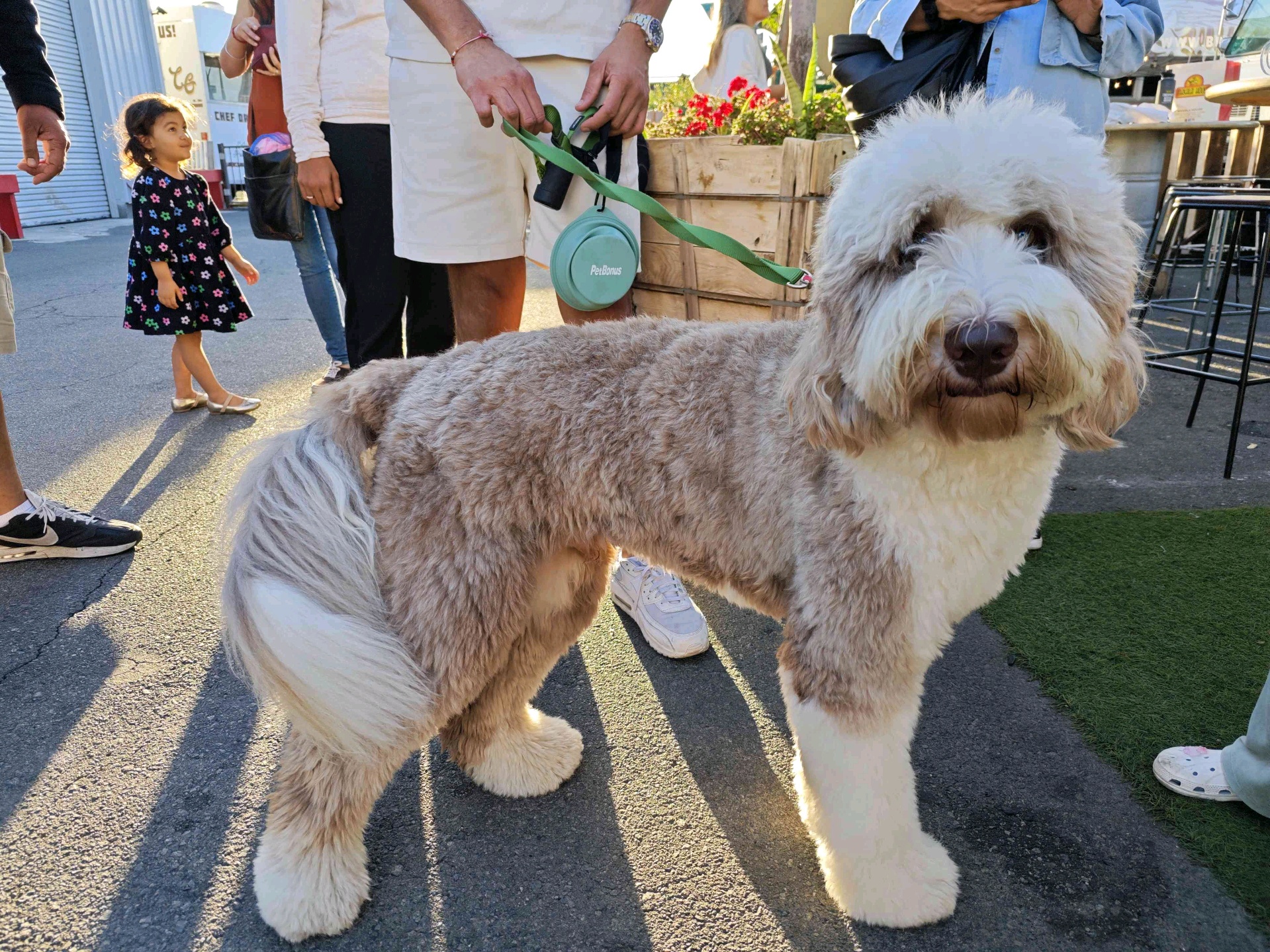 Amare (amare.lens) Lens social identity (.lens handle) PFP