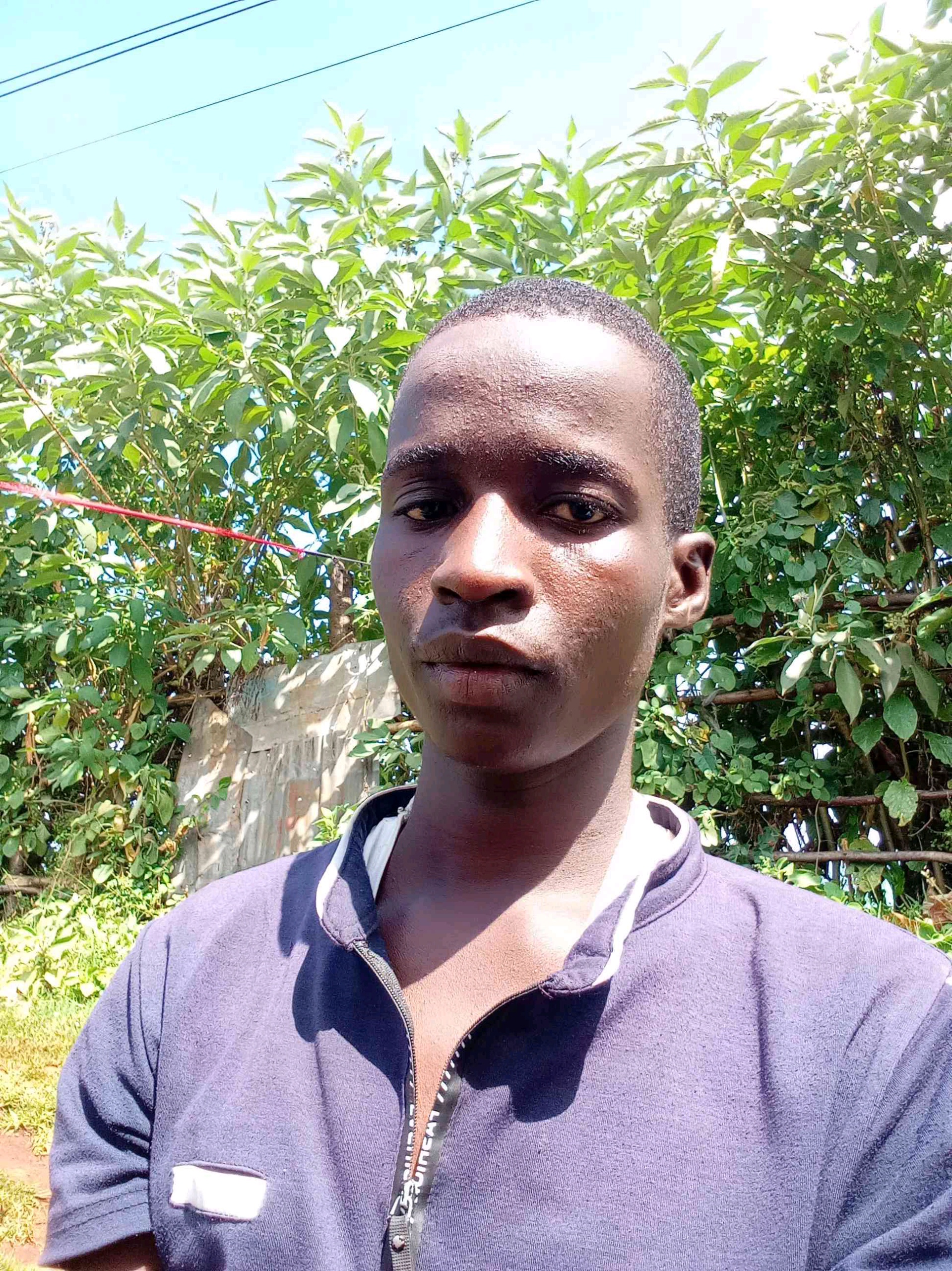 Collins (collokamasia.lens) Lens social identity (.lens handle) PFP