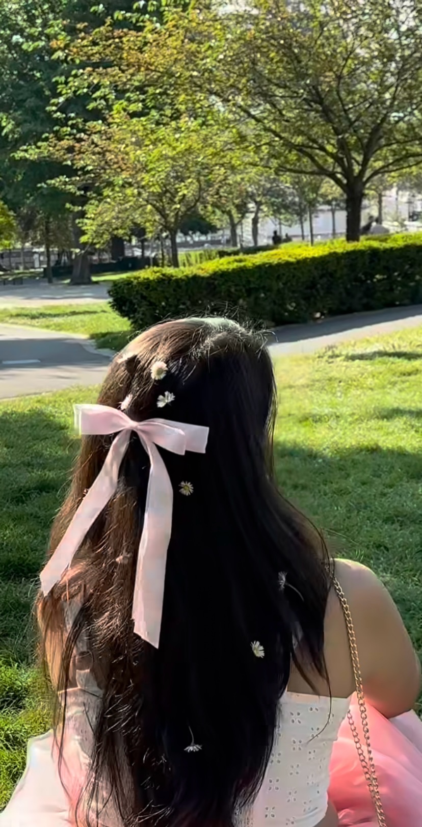 chitty (chitty.lens) Lens social identity (.lens handle) PFP