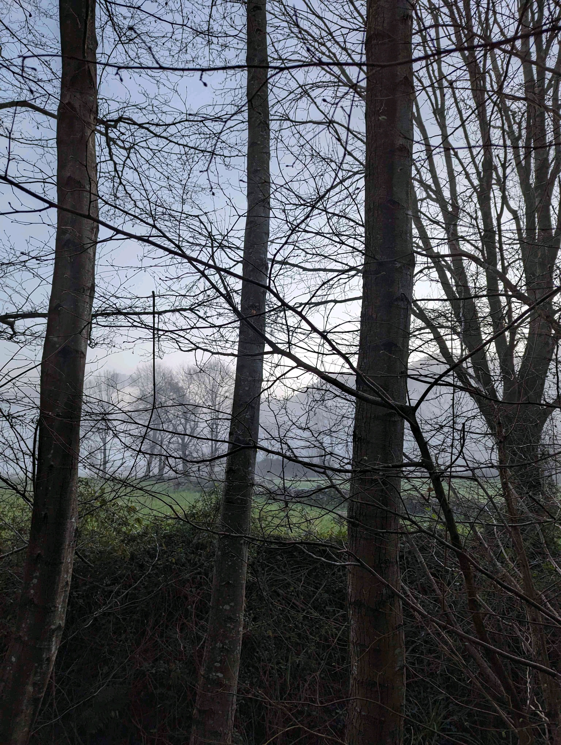 eusito (eusito.lens) Lens social identity (.lens handle) PFP