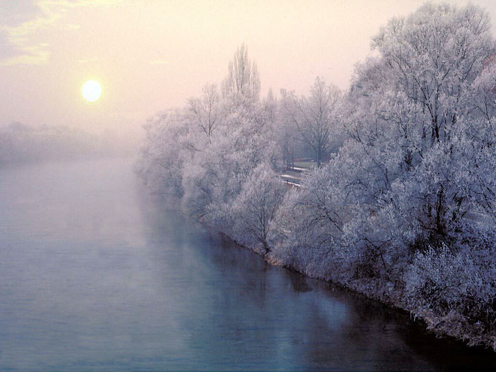 Loyd (zamzopar.lens) Lens social identity (.lens handle) PFP