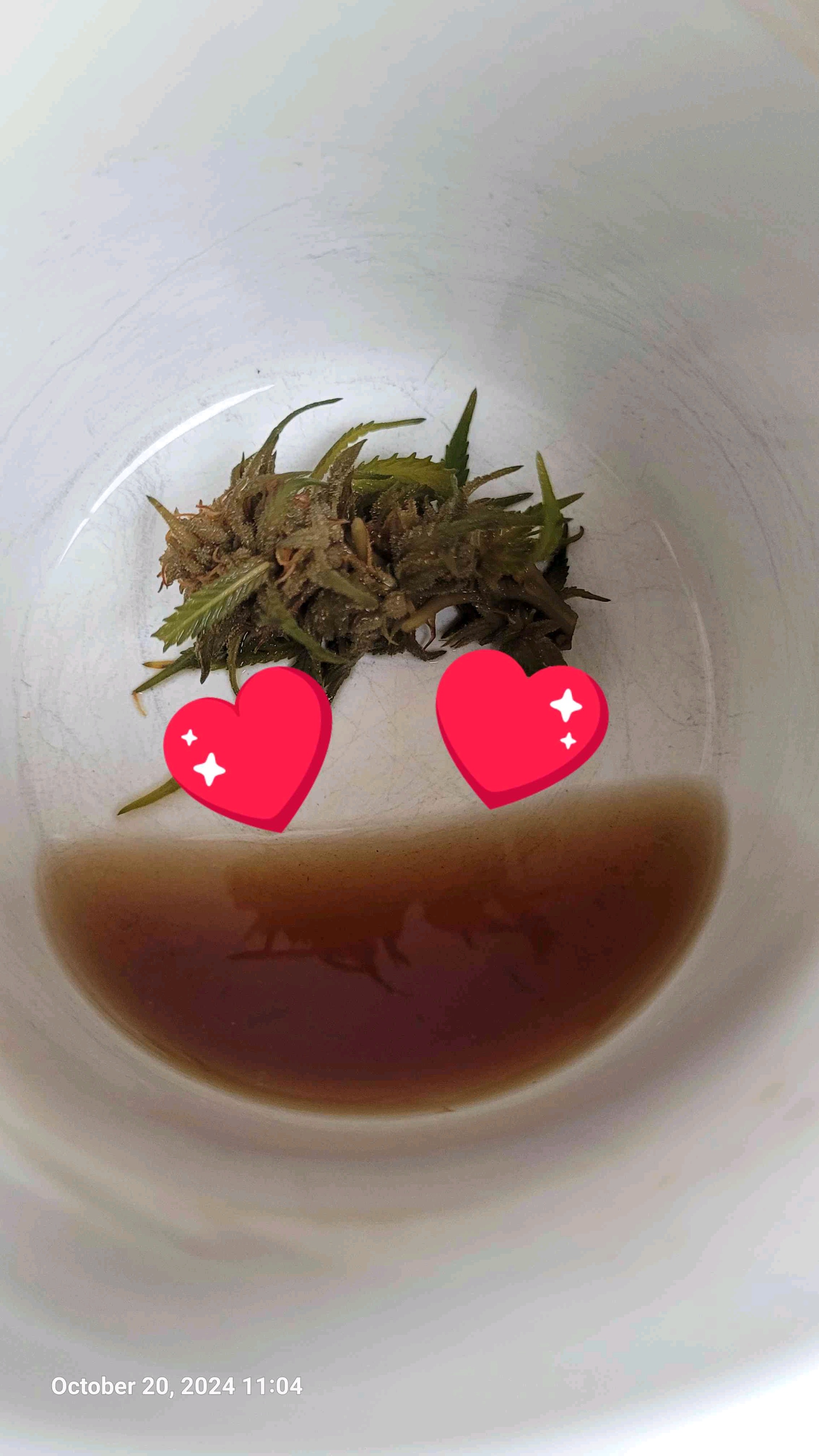 Esmun (esmun.lens) Lens social identity (.lens handle) PFP