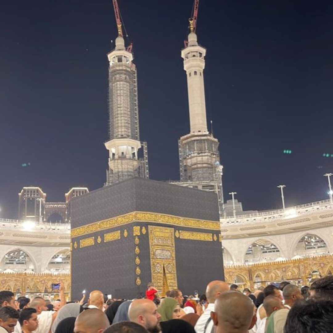 Torwilly03 (torwilly.lens) Lens social identity (.lens handle) PFP