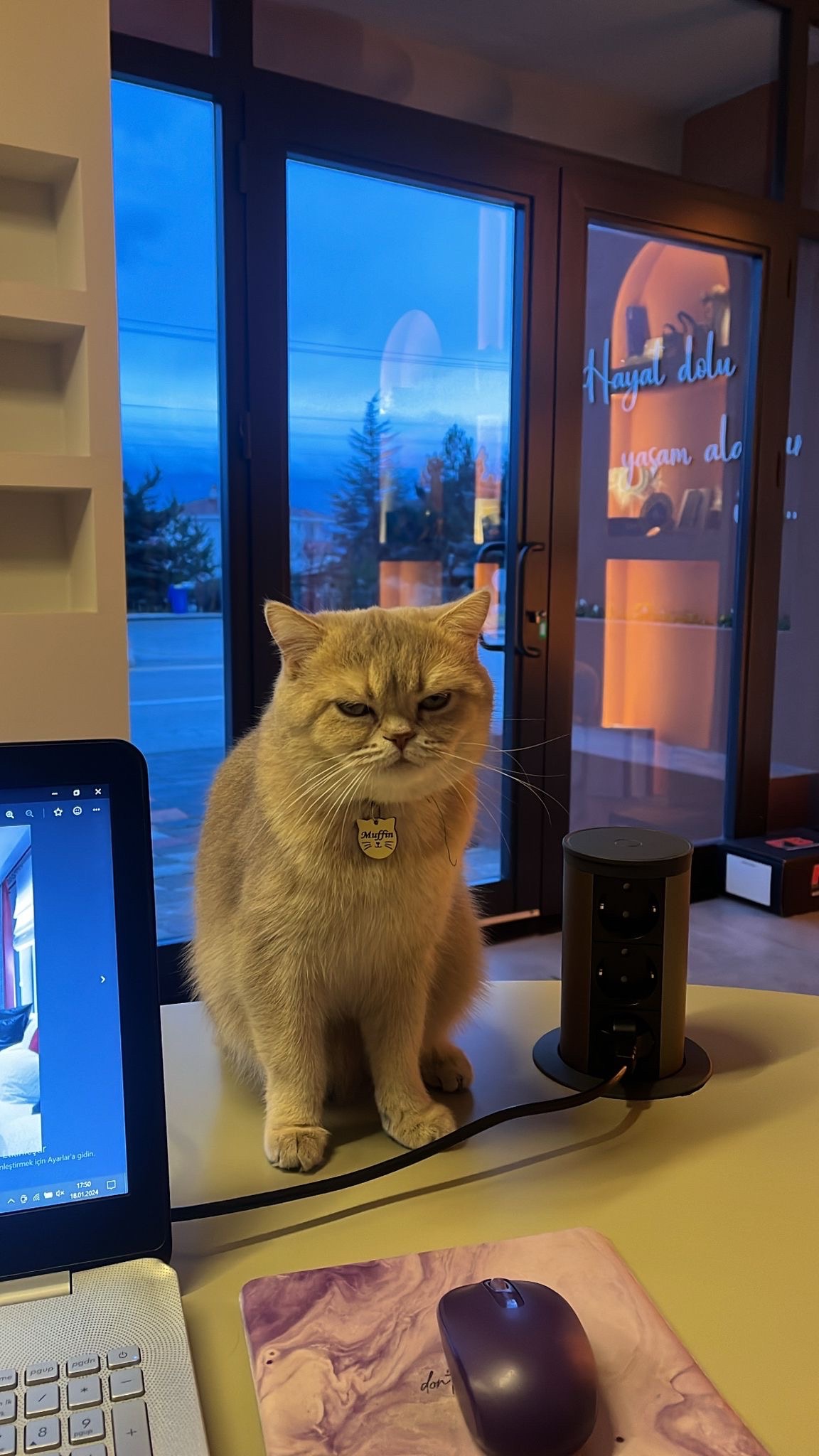 linkden.lens Lens social identity (.lens handle) PFP