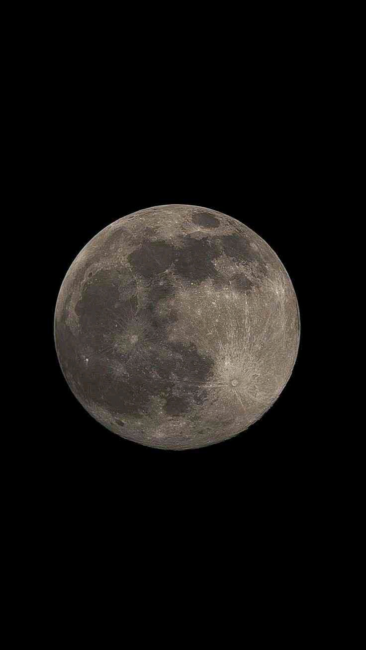 Bhumika (bhumikaa.lens) Lens social identity (.lens handle) PFP