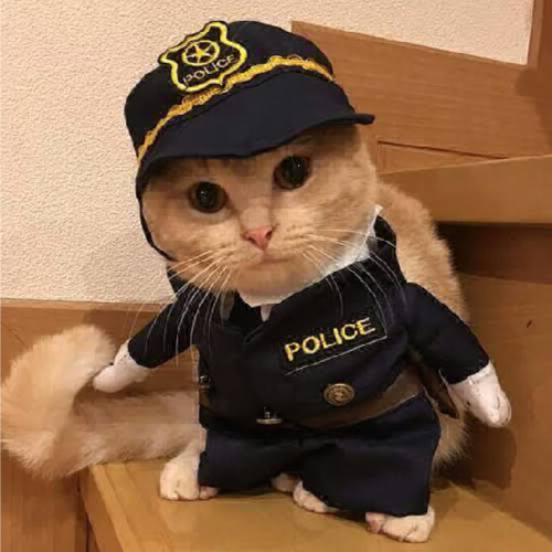 Vinobraville (vinobraville.lens) Lens social identity (.lens handle) PFP