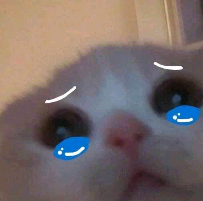 reiss (reiss.lens) Lens social identity (.lens handle) PFP