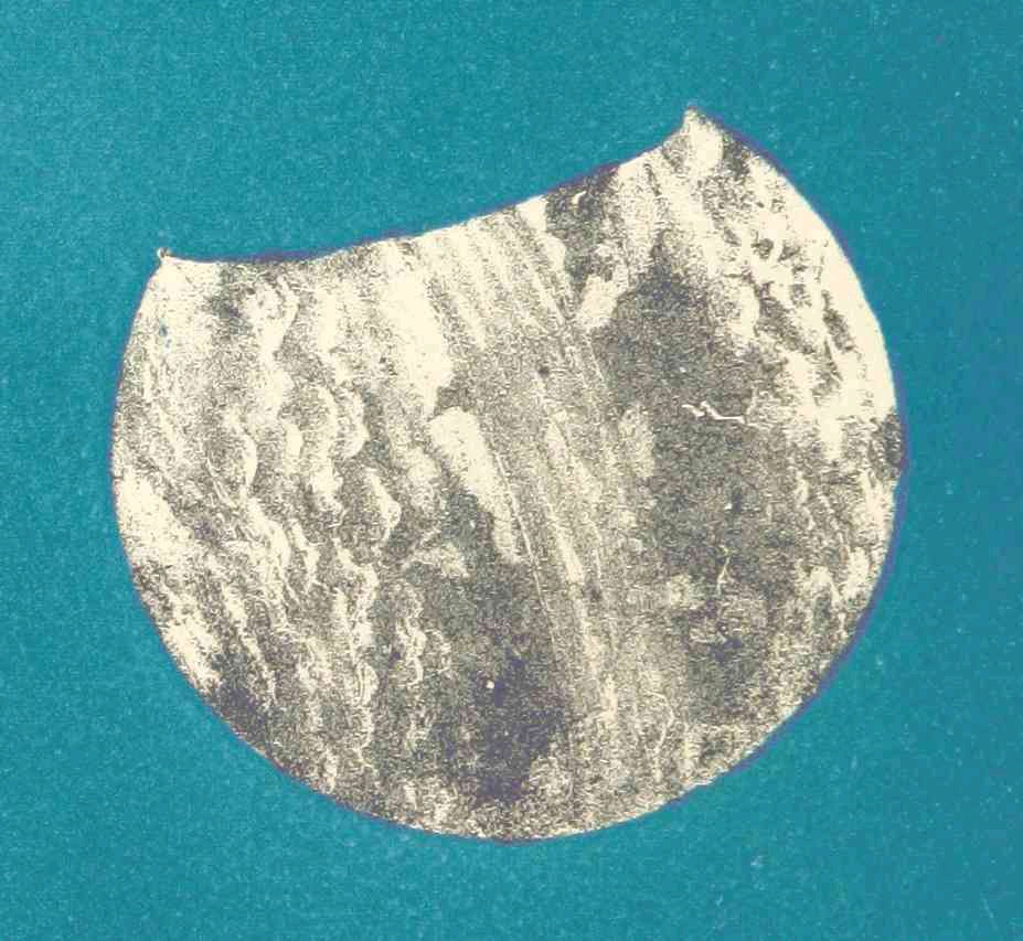 lawliet (lawliet11.lens) Lens social identity (.lens handle) PFP