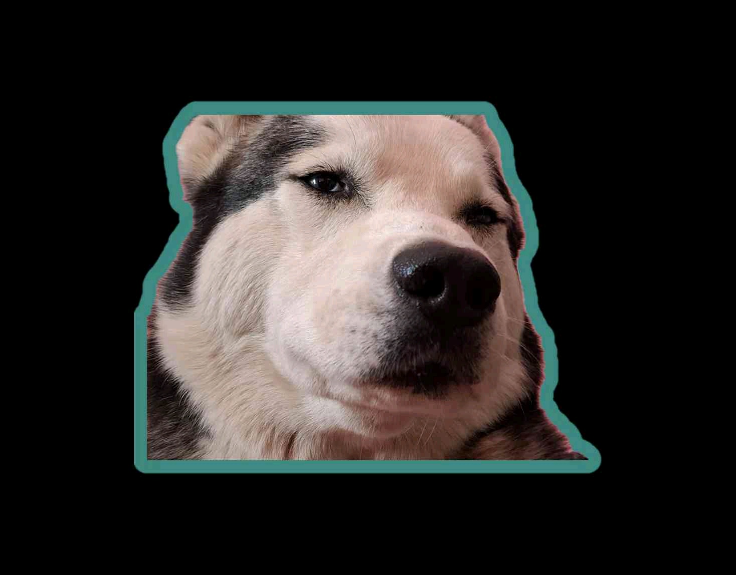 naoufal (quavo.lens) Lens social identity (.lens handle) PFP