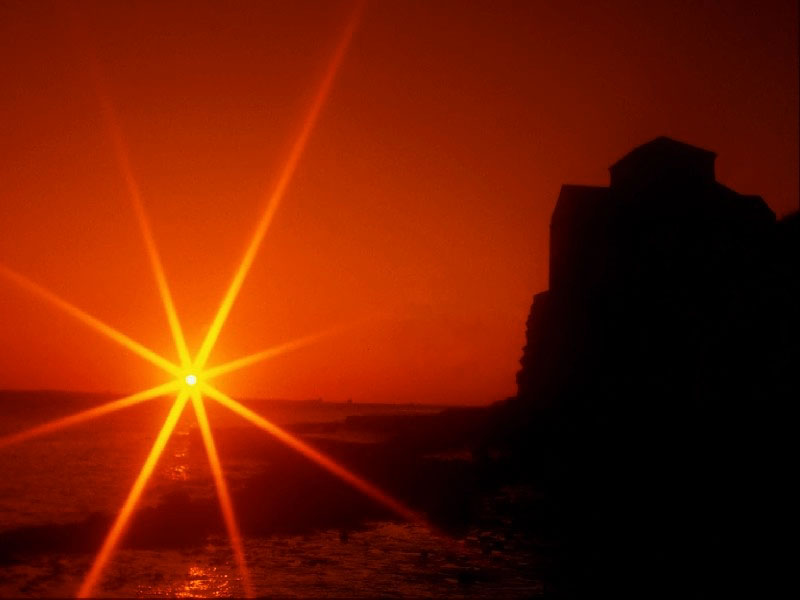 Frank (prontattsushi.lens) Lens social identity (.lens handle) PFP