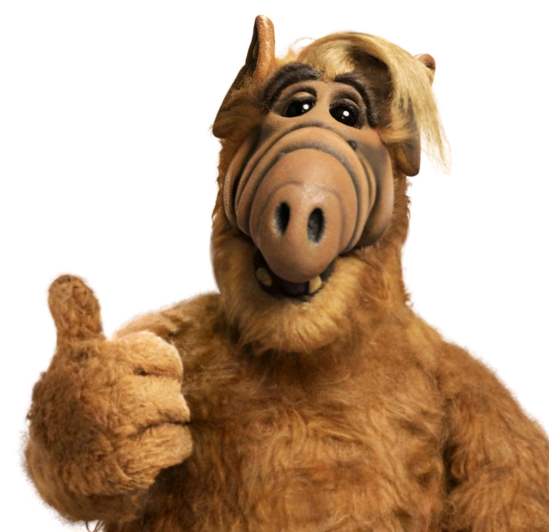 Gordon Shumway (schnitzelbomber.lens) Lens social identity (.lens handle) PFP