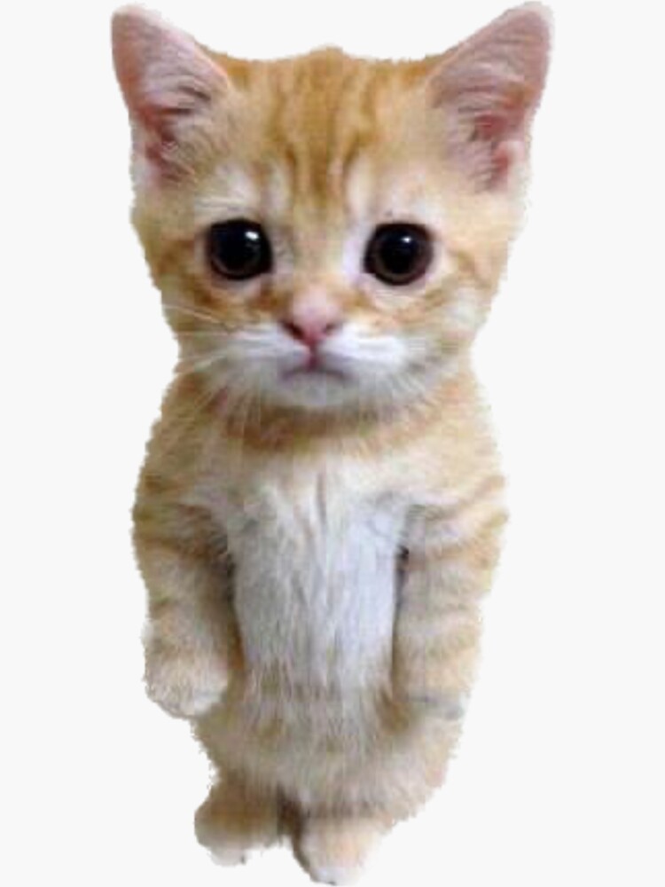 limesoda.lens Lens social identity (.lens handle) PFP