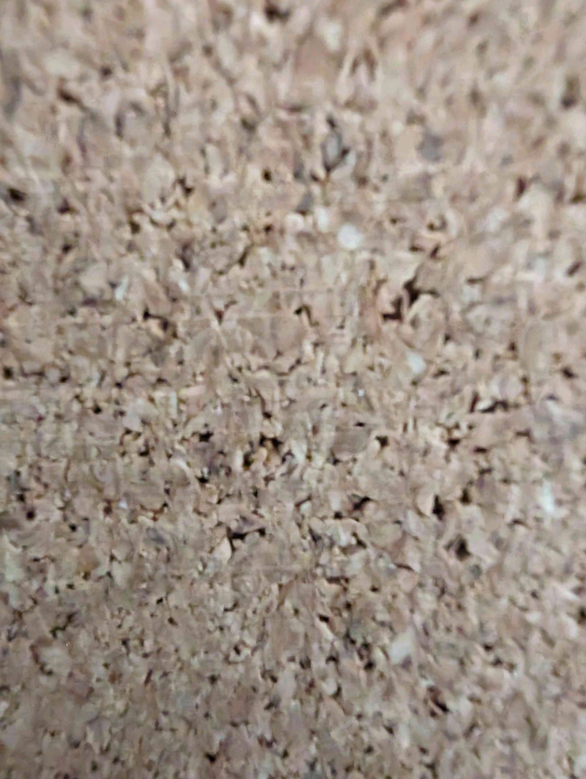 Corky (corkyc.lens) Lens social identity (.lens handle) PFP