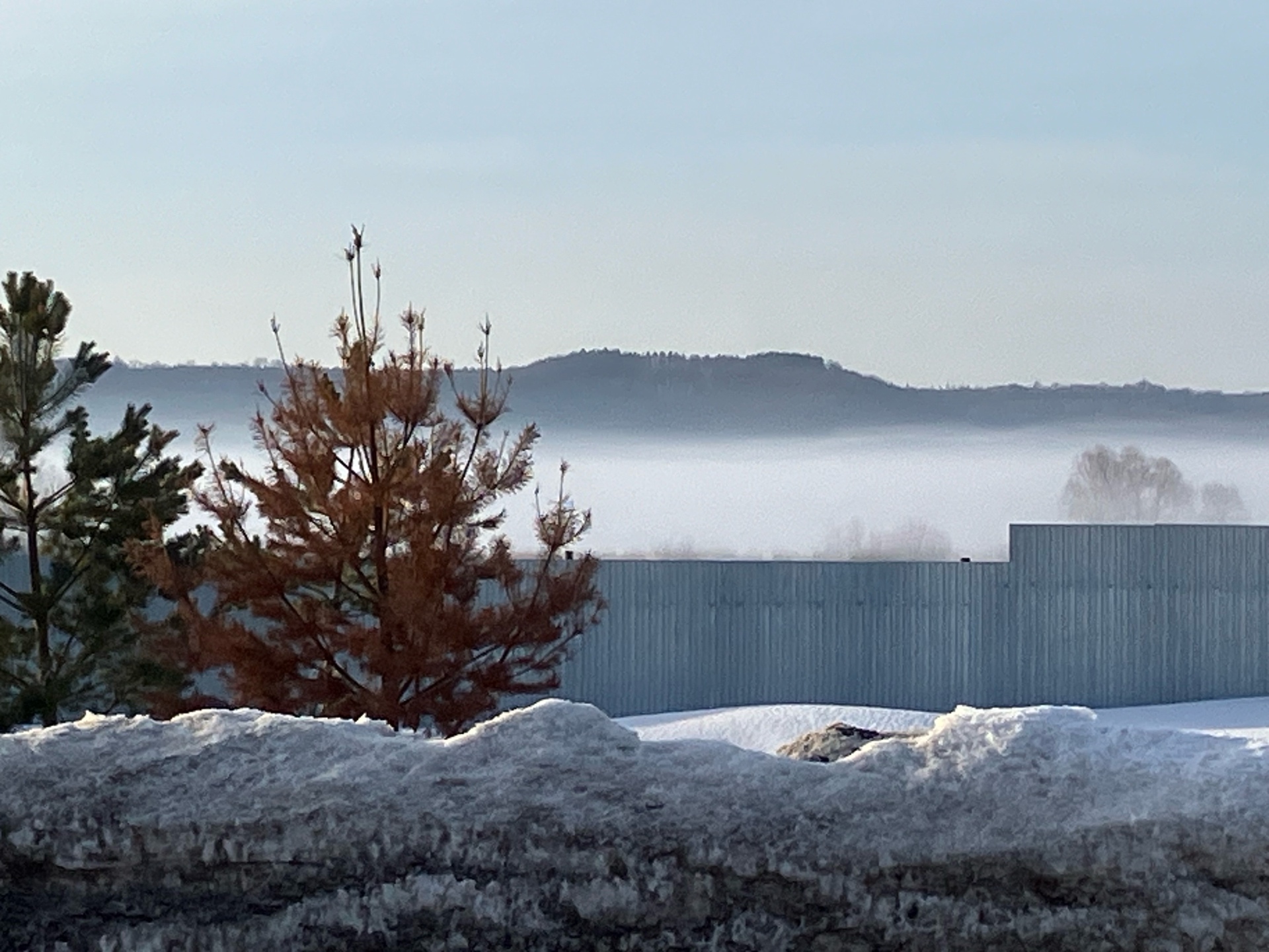 Edgor (julion.lens) Lens social identity (.lens handle) PFP