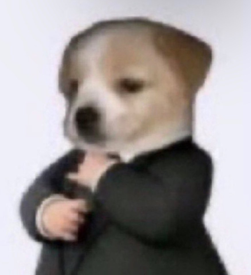 frank (whodis.lens) Lens social identity (.lens handle) PFP