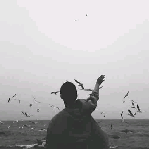 Megi Hoxha (philippawalker.lens) Lens social identity (.lens handle) PFP