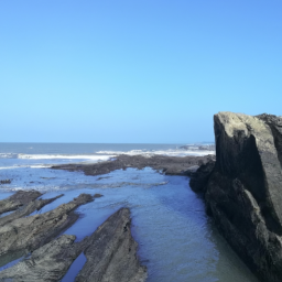 Tuzonico (tuzelity.lens) Lens social identity (.lens handle) PFP