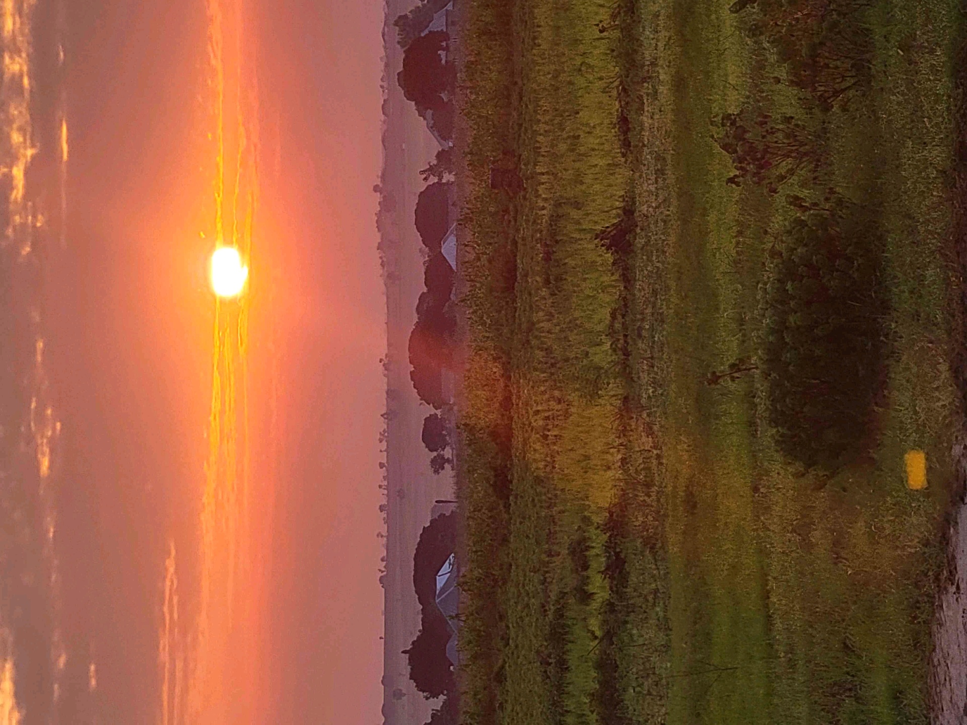 Anon X (hackedx.lens) Lens social identity (.lens handle) PFP