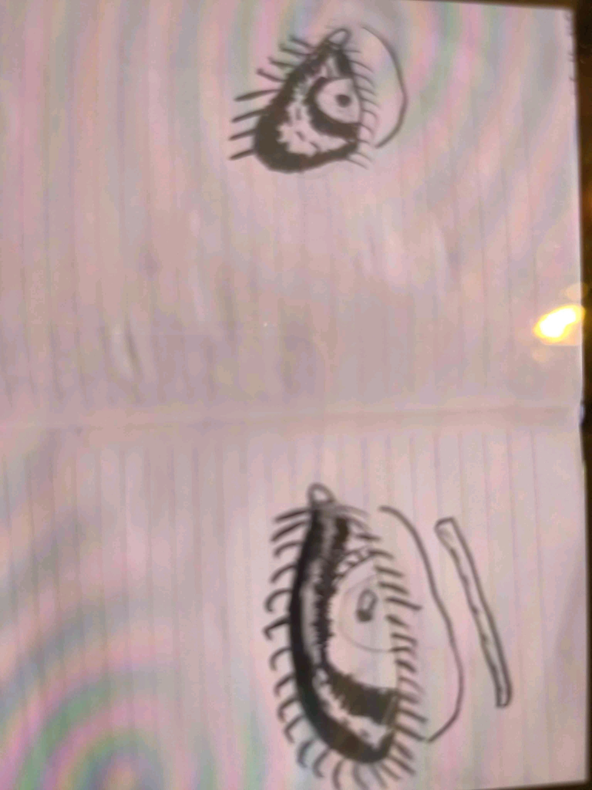 hidroreport (hidroreport.lens) Lens social identity (.lens handle) PFP