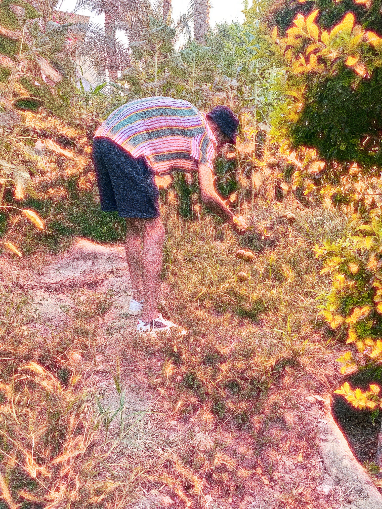 saher (saher.lens) Lens social identity (.lens handle) PFP