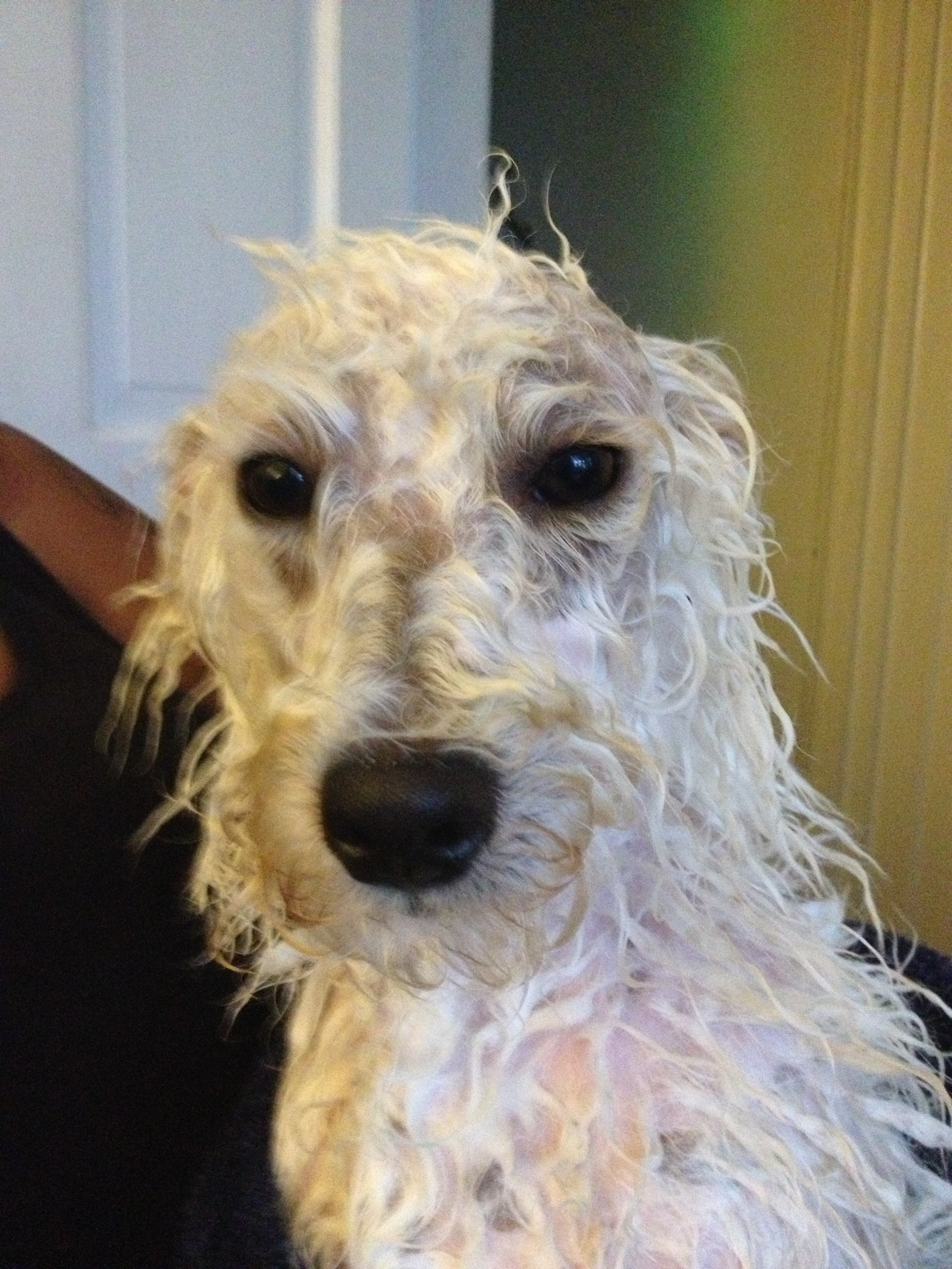 KlikSynK (kliksynk.lens) Lens social identity (.lens handle) PFP