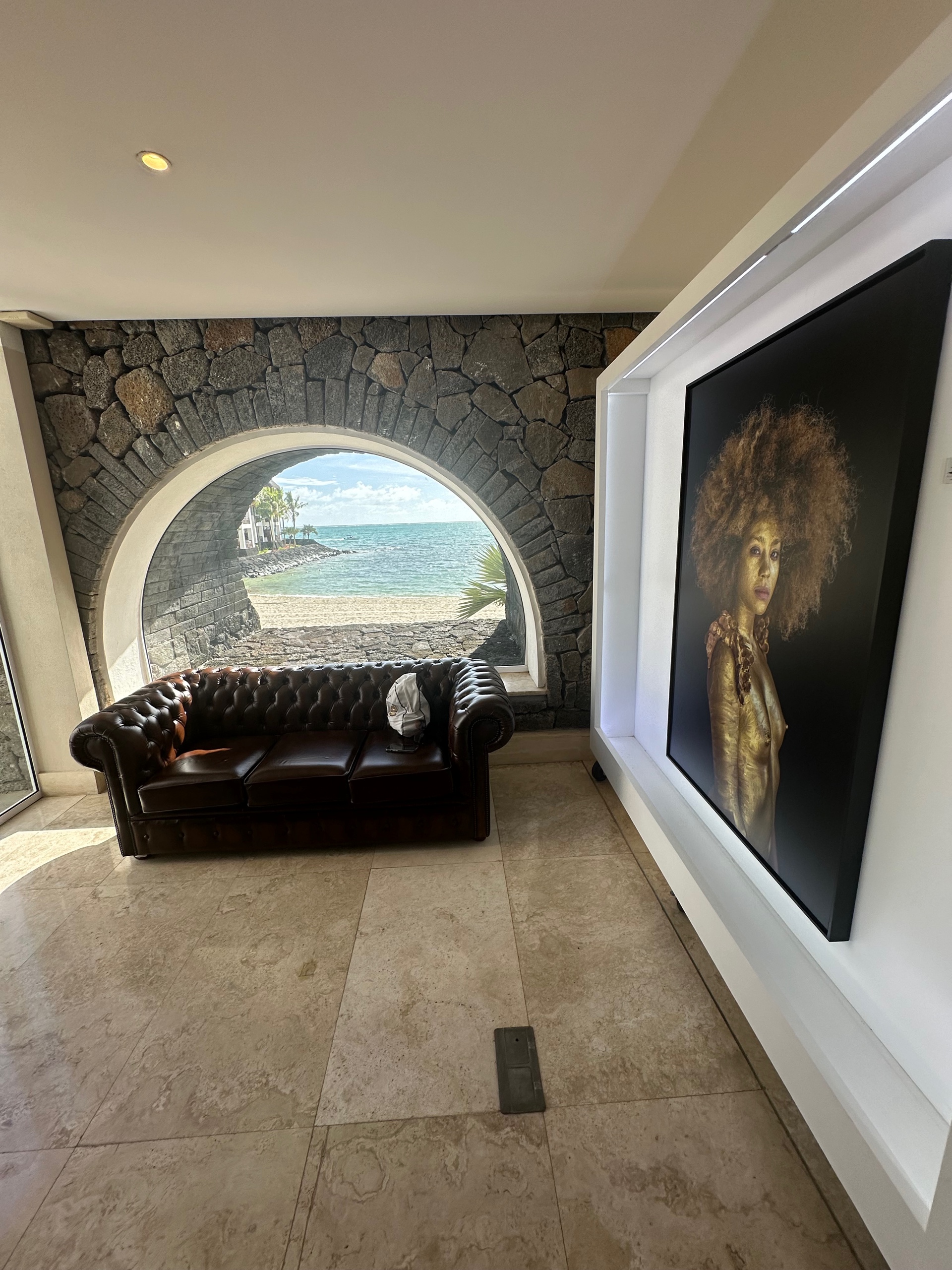 Dali (dalizarzis.lens) Lens social identity (.lens handle) PFP