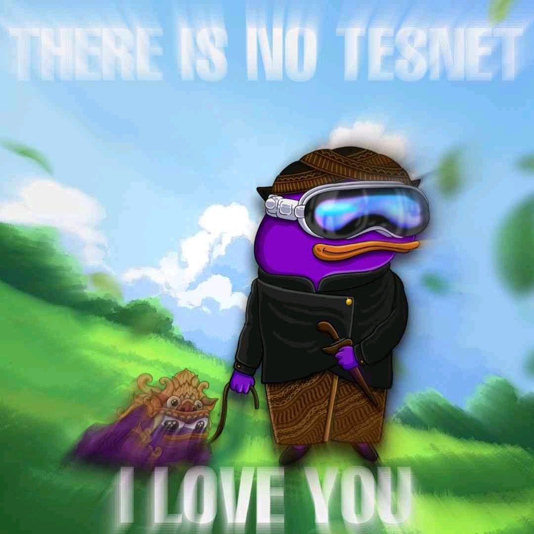 Elearachel (elearachel.lens) Lens social identity (.lens handle) PFP